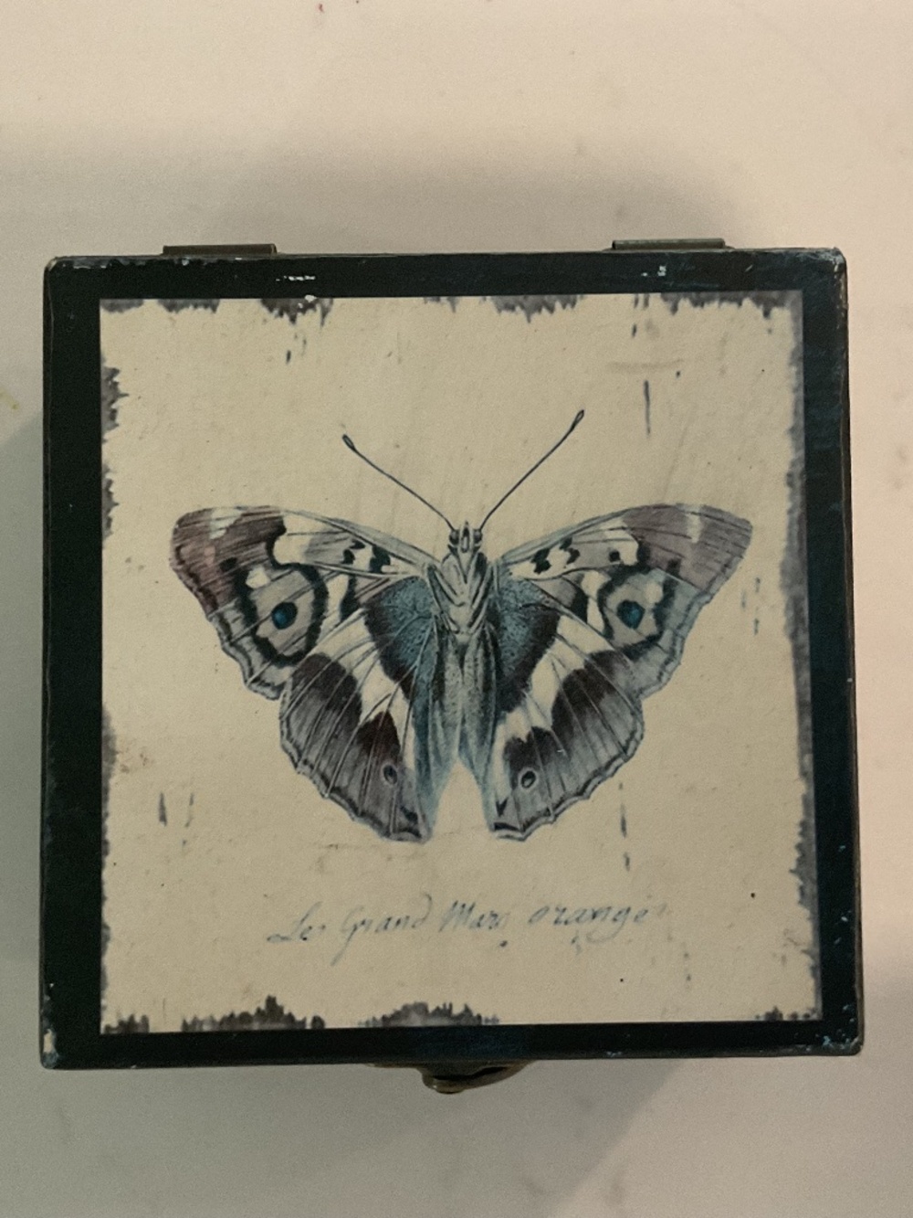 Botanical trinket box